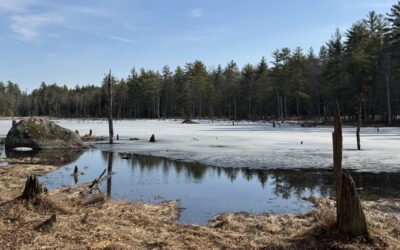 Responsible Hiking Practices During Mud Season – By Diana Moore