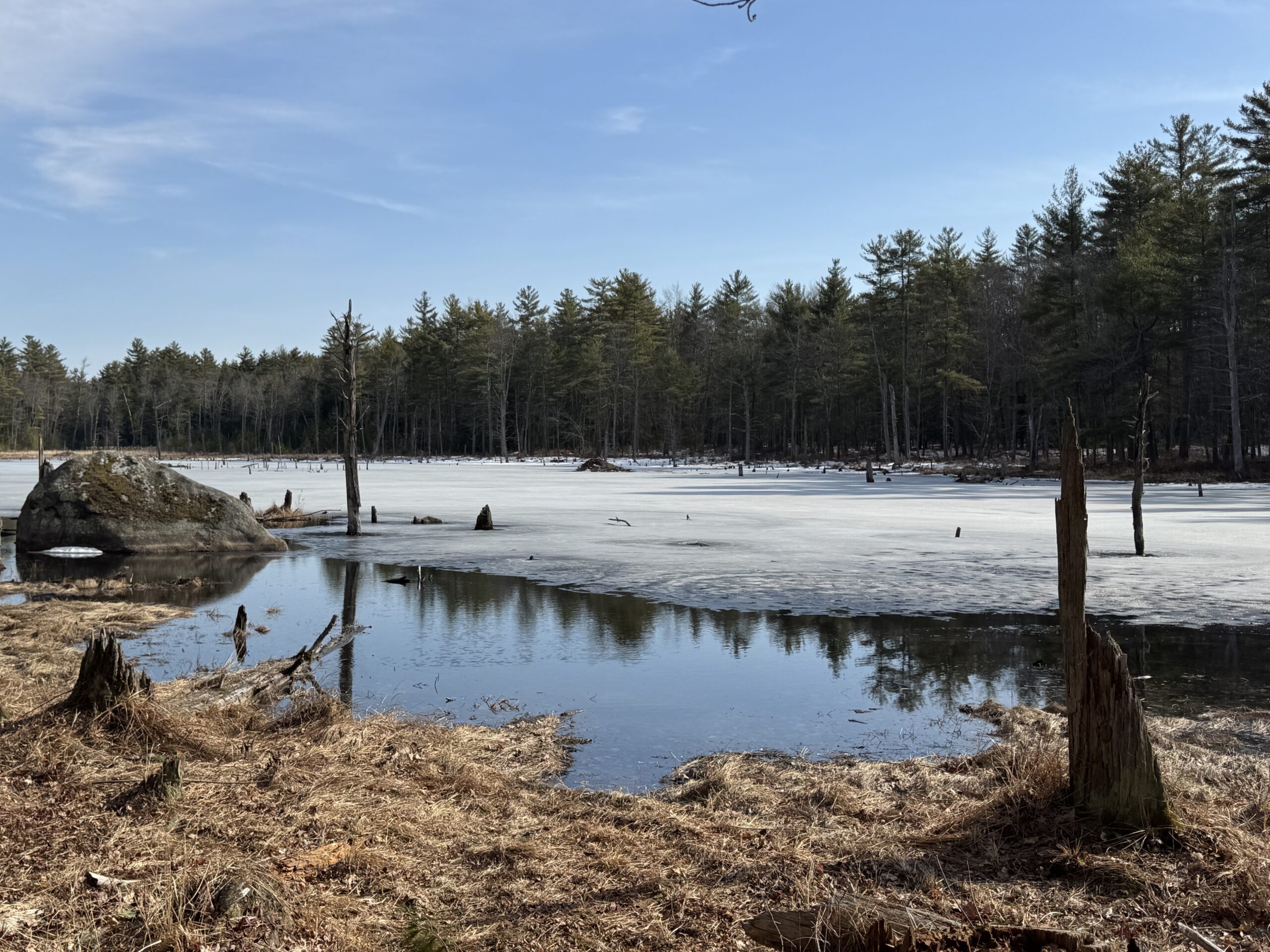 Broken Ground Trail in Concord, NH