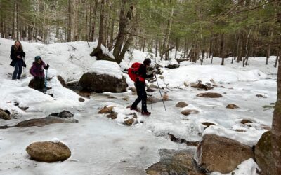 Guide to Using Trekking Poles – by Diana Moore